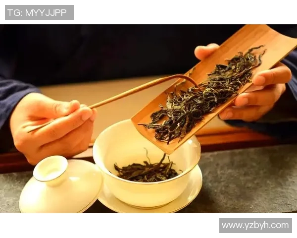 瑜伽垫的选择与使用技巧全面指南，助你提升运动效果与舒适度