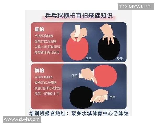 赵芳独家分享乒乓球技巧与心得助你提升球技的秘诀与经验